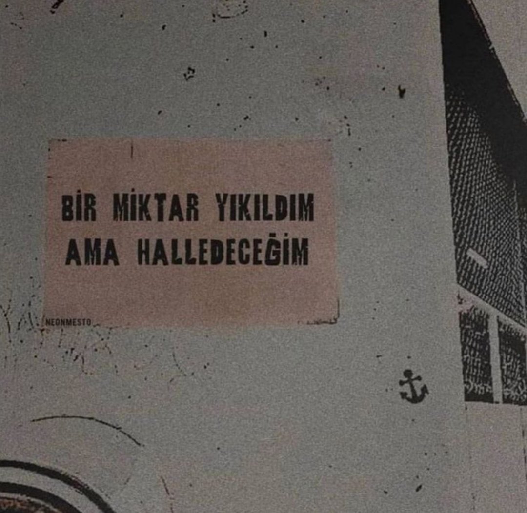 burcargosu's tweet photo. radikal kararlar aldıktan sonra boğa, oğlak, akrep, aslan ve koç burcu: https://t.co/pjkQ6WAypp