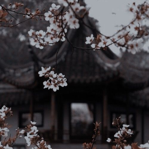 Добрый вечер, я вижу ты тоже много работаешь, и мне кажется, что кое-кому нужен отдых. Как ты смотришь на идею оторваться от дел и прогуляться рядом с имением, м?