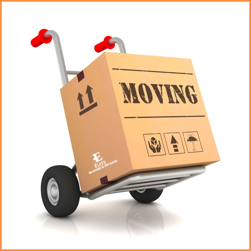 EliteMovingStor's tweet photo. We make the commitment to handle all of your most valuable and fragile items with utmost care.

Contact us today!
📞 (888) 693-9080
💻 https://t.co/dgJECtnEJY

#elitemoving #commercialmoving #movingcompany https://t.co/CBZtuFakj3