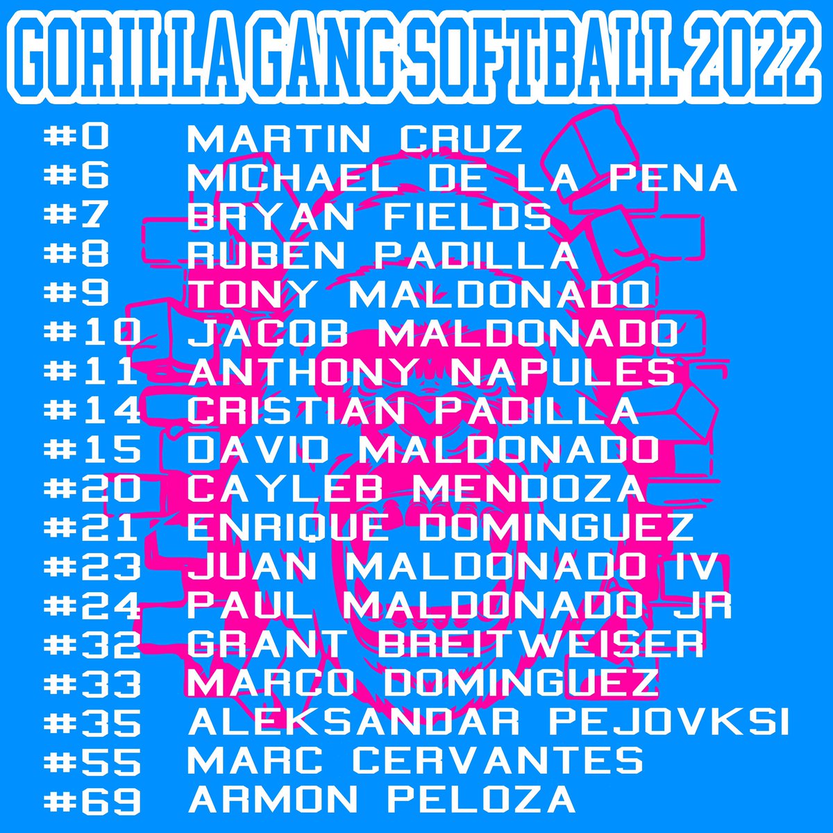 GorillaGangSB's tweet photo. ❕BIG NEWS❕
This summer we are retiring the TWBC name. We are also moving to a whole new sport! This summer we are going to move to slow pitch softball! You’ll see some former TWBC players rostered, as well as some new names you better get use to! #GorillaGang #DontLetEmGetHot https://t.co/cx8XpPKCPF