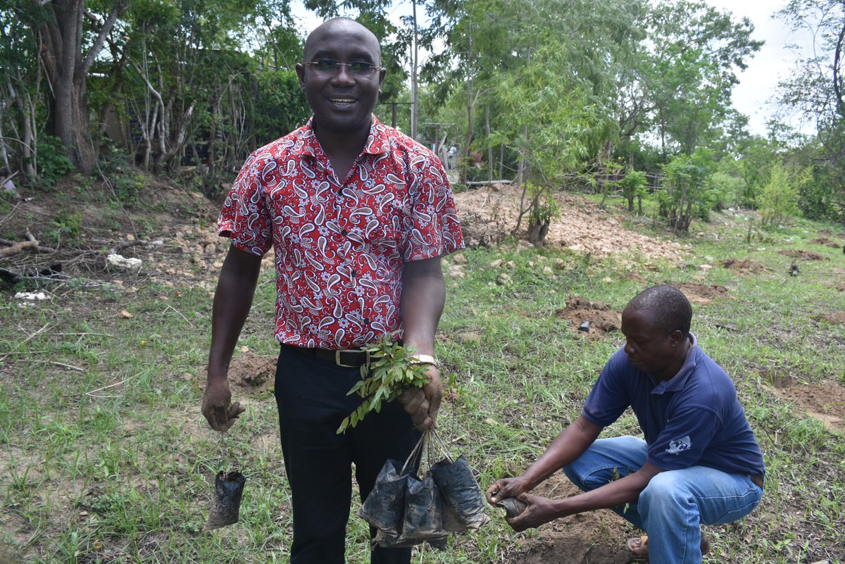 posterity examples are been instantiated all over, today it was Ndavaya Parish