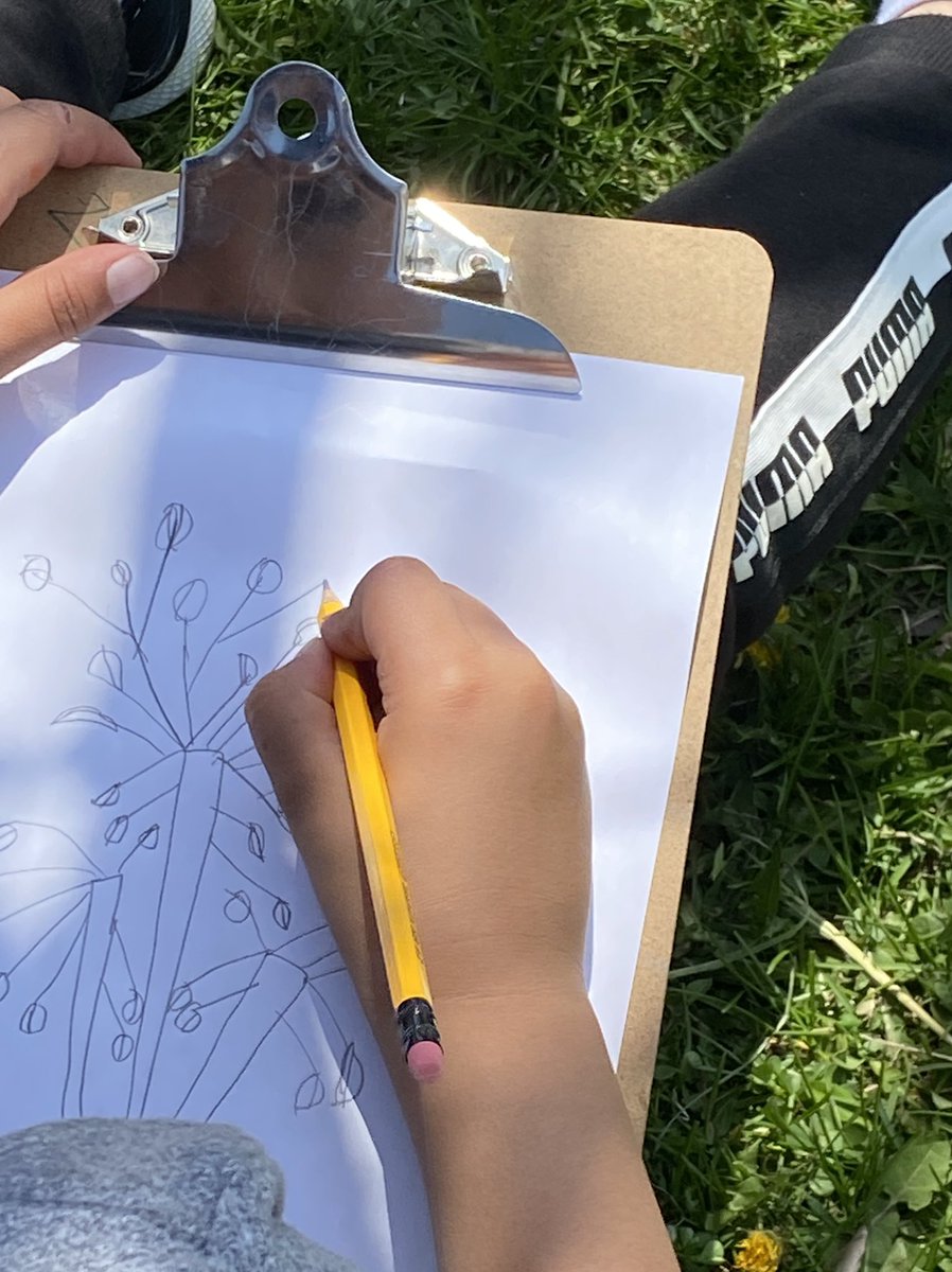 nikkialderman3's tweet photo. There was a lot of joy in the air during @rowntreeps first Environment day as we connected with nature and took time to appreciate the land we live on.  Thankyou @peel_fc for the fabulous site filled with outdoor ideas.  @Denjg  @TeacherMoise @katlager https://t.co/lWKowxMFef