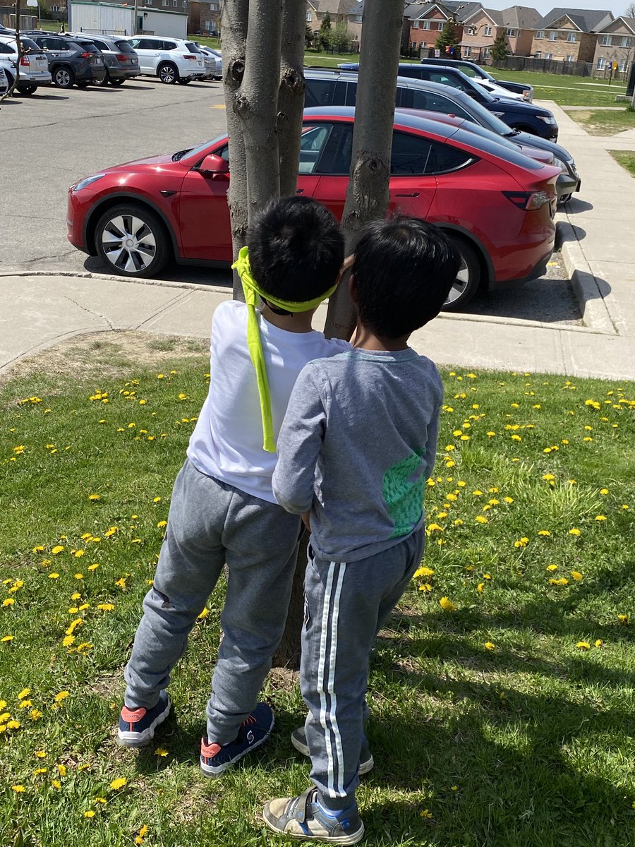 nikkialderman3's tweet photo. There was a lot of joy in the air during @rowntreeps first Environment day as we connected with nature and took time to appreciate the land we live on.  Thankyou @peel_fc for the fabulous site filled with outdoor ideas.  @Denjg  @TeacherMoise @katlager https://t.co/lWKowxMFef