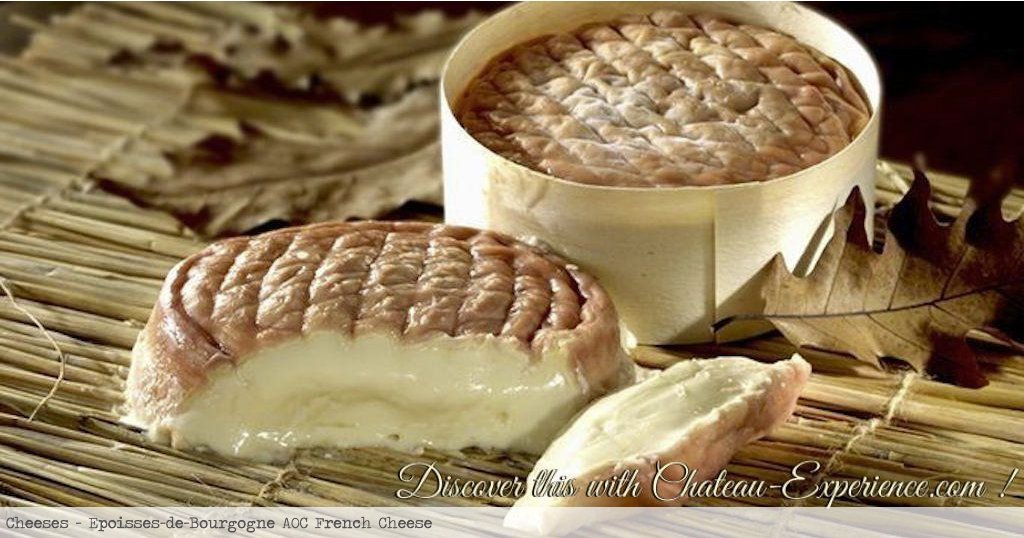 ChateauTours's tweet photo. At our table @ #ChateauExperience plenty of real #FrenchCheese like #Bourgogne #Cheese all the top of the #CheeseReview!

#Epoisses,
#Soumaintrain,
#AbbayeDeCiteaux,
#AbbayeDeLaPierreQuiVire

And more!

#VisitFrance
#Gastronomie 

https://t.co/mxcxFcr01x https://t.co/9IQxfQ8jhZ