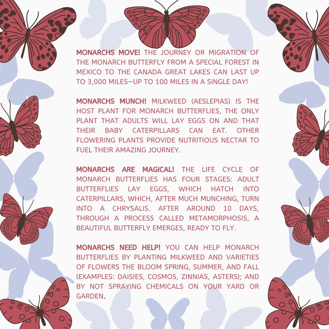 Soon it will be Monarch season! 🦋 While we wait for the first sighting, here are some fun facts about Monarch butterflies from Mama Monarch... Mama Monarch is by Dr. John Hutton with artwork by Sandra Gross. #monarchbutterflies #pollinator #boardbook