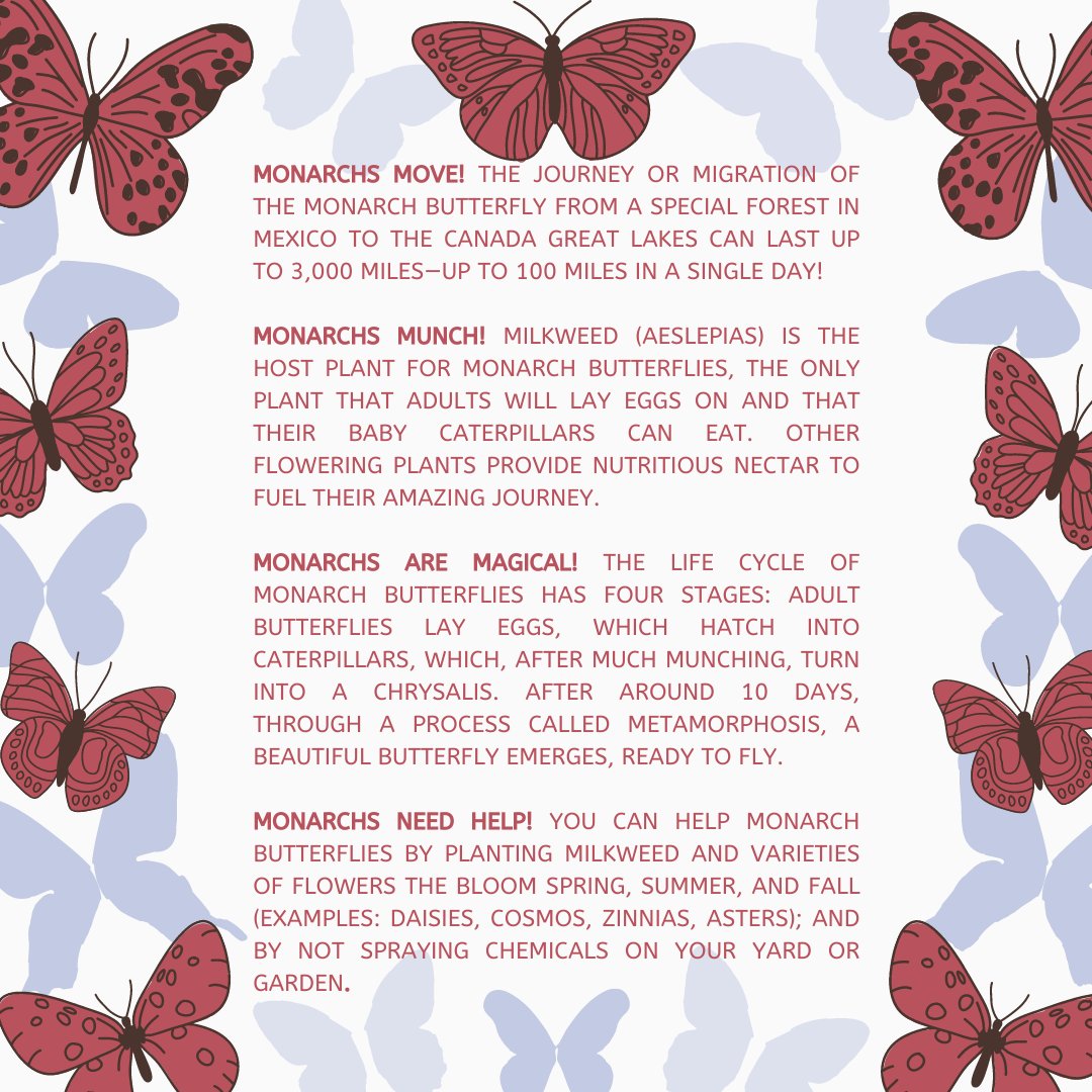 Soon it will be Monarch season! 🦋 While we wait for the first sighting, here are some fun facts about Monarch butterflies from Mama Monarch...

Mama Monarch is by Dr. John Hutton with artwork by Sandra Gross. 

#monarchbutterflies #pollinator #boardbook