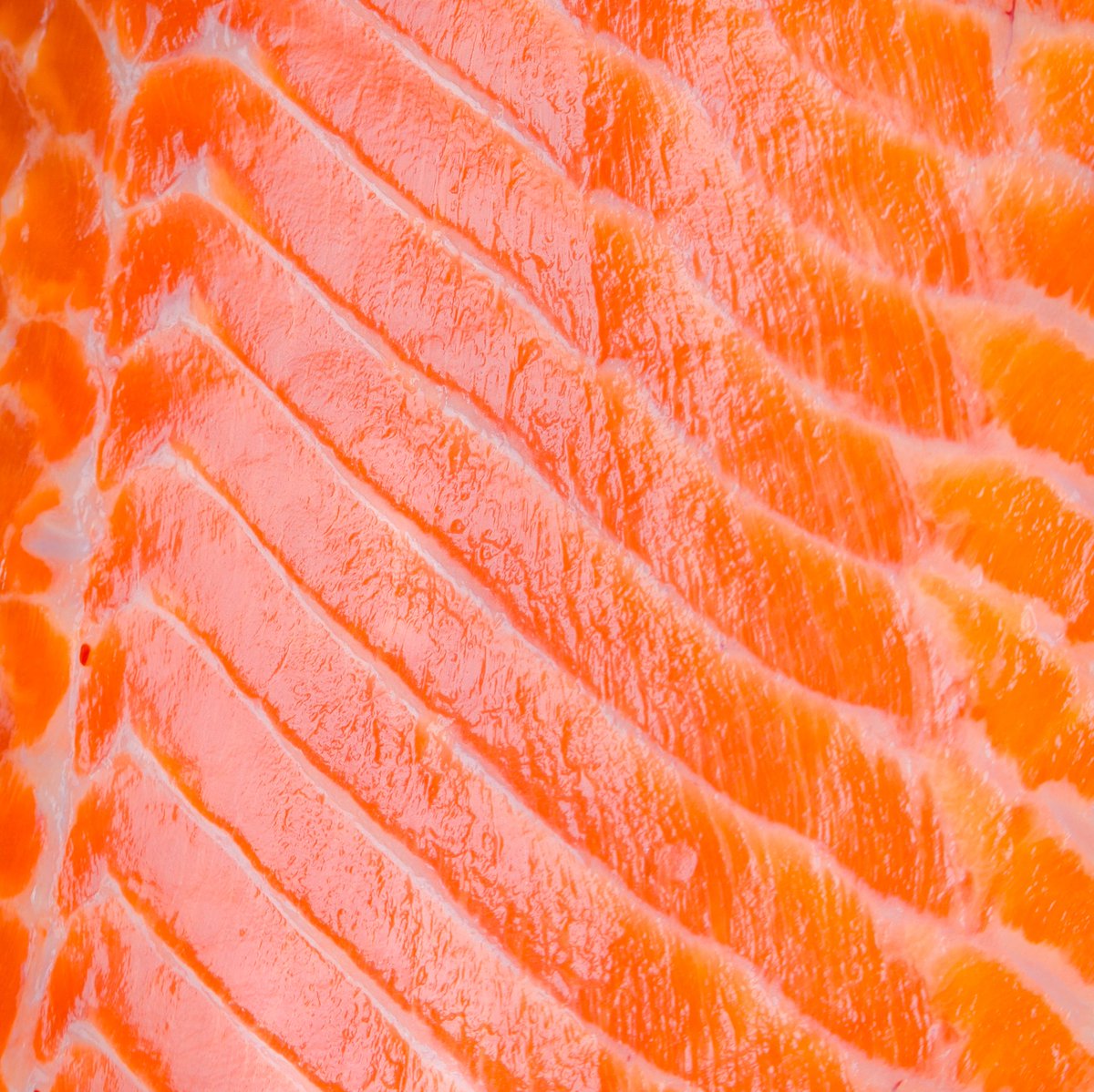 We source for flavor, strive for health, and stand up for our planet. Verlasso is committed to sustainable practices, working closely with our local communities to reduce environmental impact.