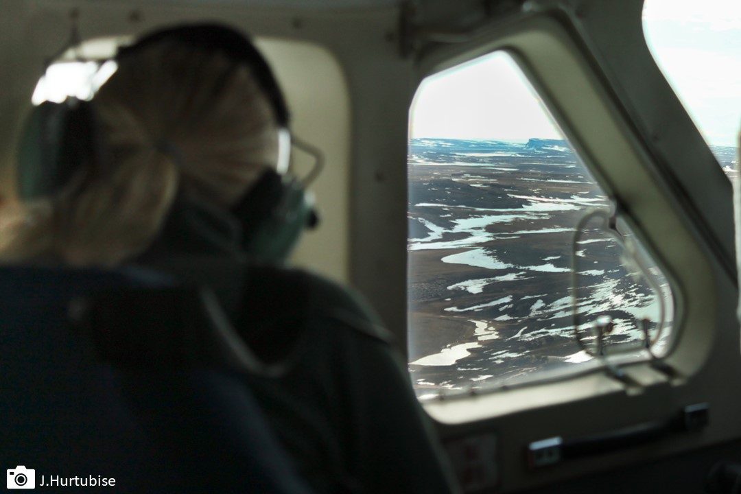 North Slave Metis tweet media