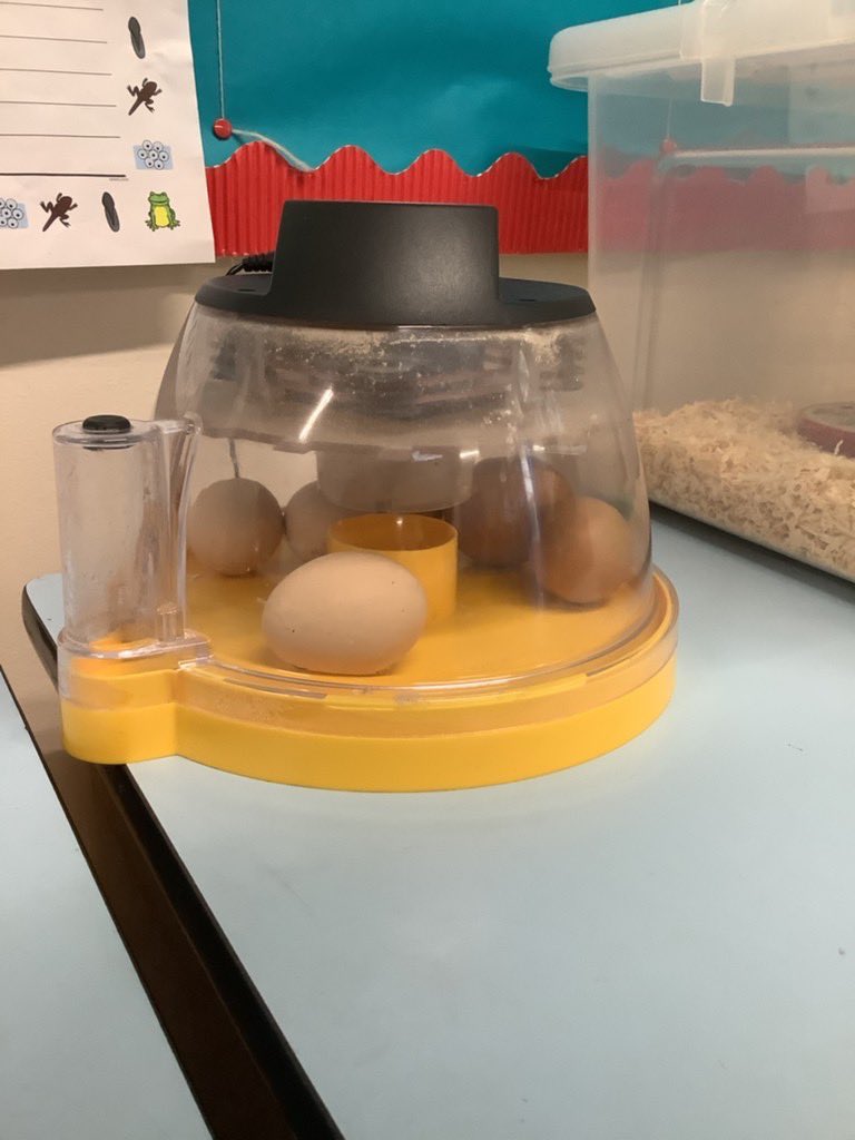 St Michaels Stone tweet media