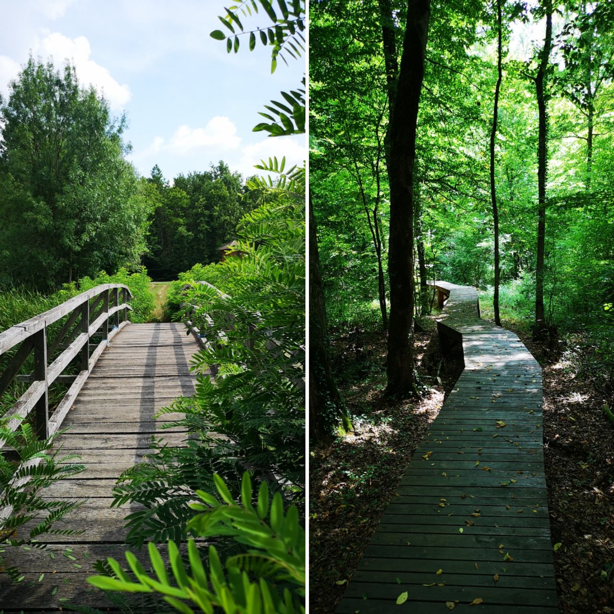 KAZ 🇭🇷 ⰽⰰⰸ tweet media