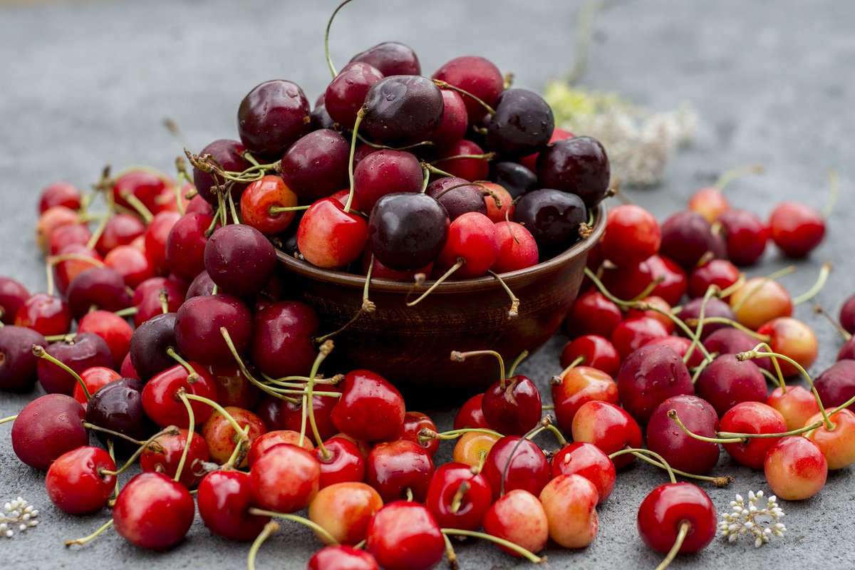 generalproduce's tweet photo. Cheery for Cherries!
#cherries #cacherries #caproduce #kingsburg #centralvalley #deltapacking #stonefruit https://t.co/0UomDKjM64