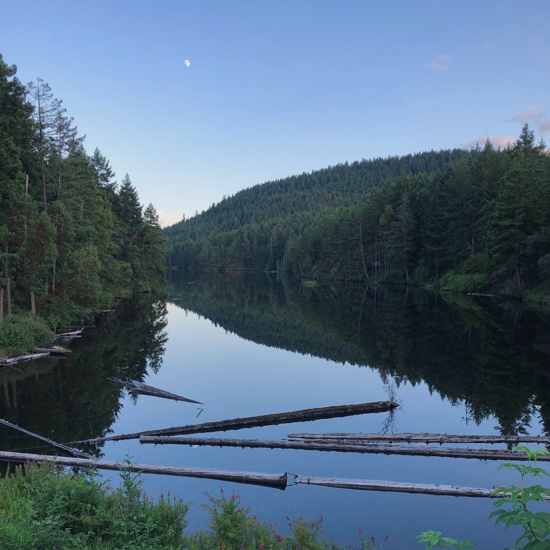 FlyYCD's tweet photo. Wind your way along the lush, meandering trails that surround #EnosLake. This lesser-known gem is located in Nanoose Bay, about 30 minutes from @FlyYCD.
#FlyYCD #YCDreconnect #exploreBC #explorevancouverisland https://t.co/oBQPnrbInr