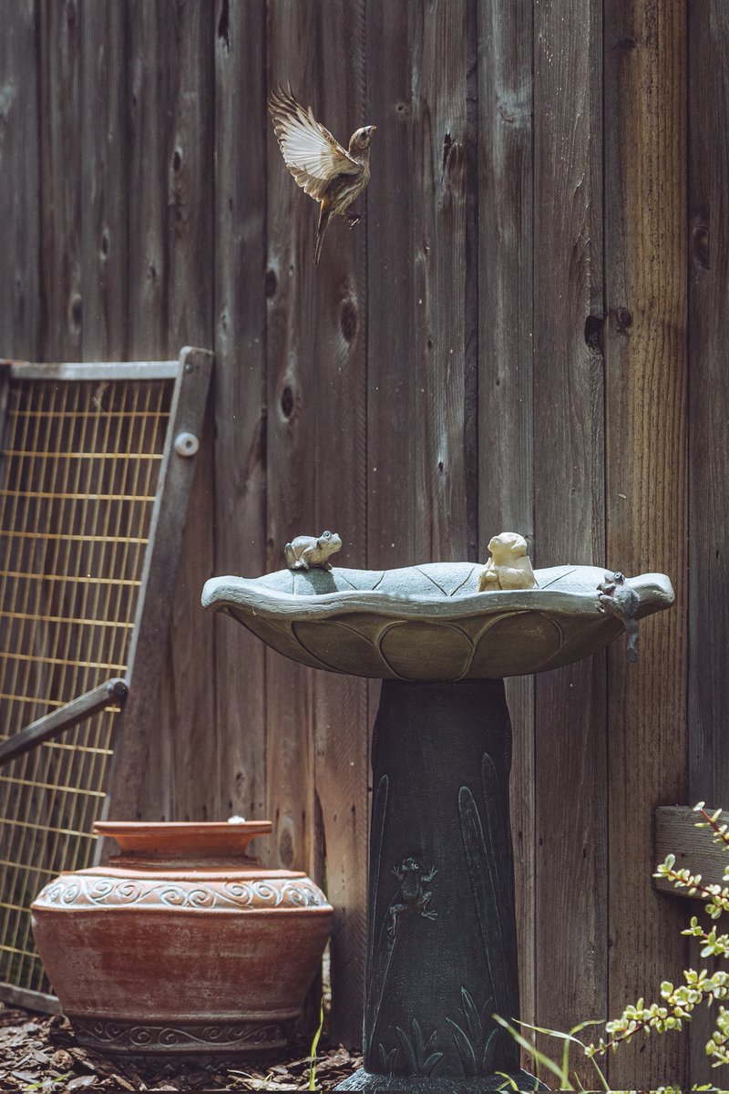 ChataFrata tweet media