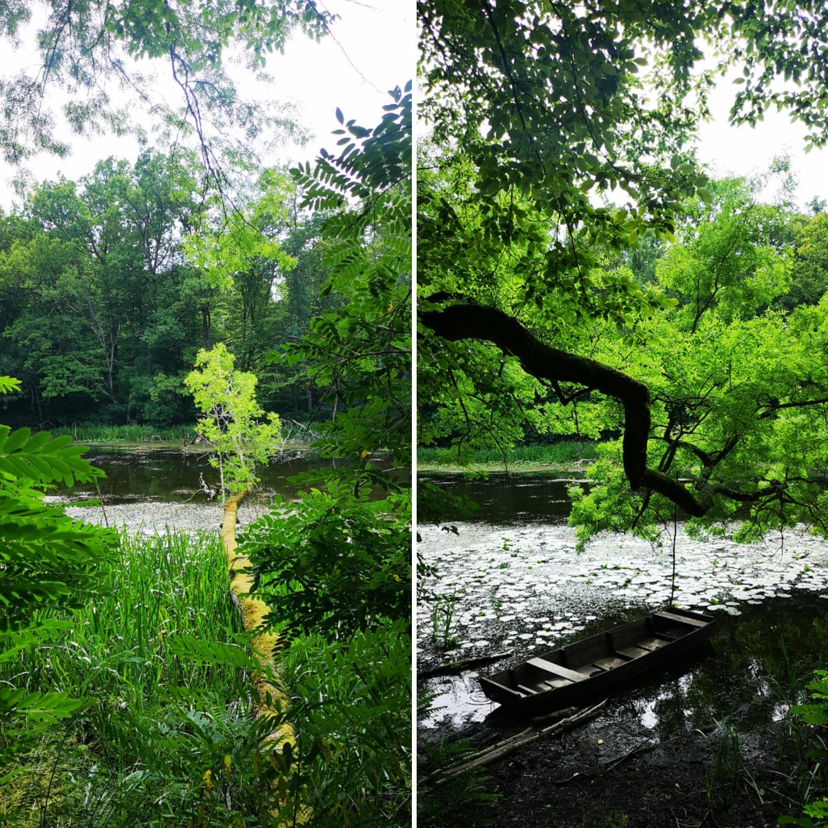 KAZ 🇭🇷 ⰽⰰⰸ tweet media