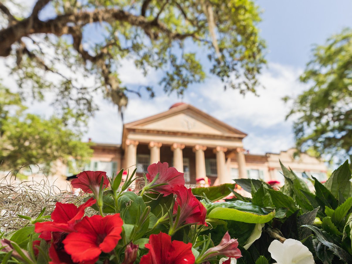 CofC's tweet photo. Name a more beautiful commencement...we'll wait. ๐น
#collegeofcharleston #cofc #cofcgrad https://t.co/e3x1odWgZD
