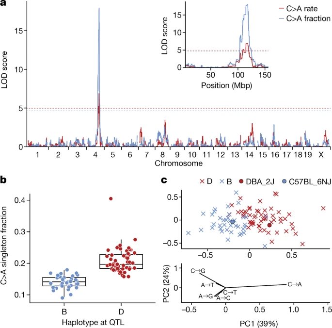 Kelley Harris tweet media