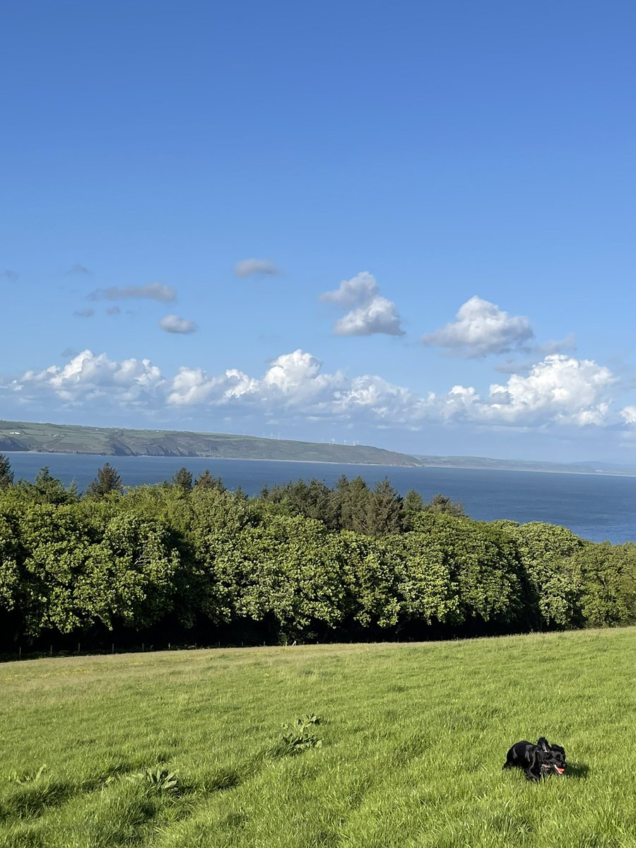 Brad Davies tweet media