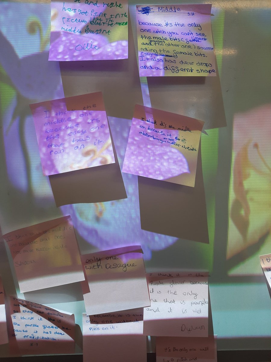 StMichaels_CE's tweet photo. #Explorify odd one out discussions for year 5. Thinking about plant reproduction,  and the different parts of a flower. https://t.co/lJmdMwZXli