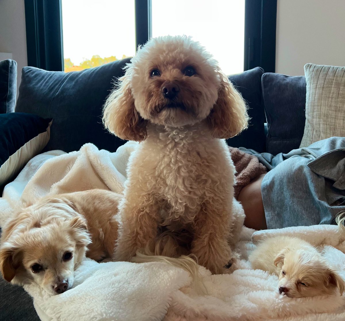 I wish I was, I wish I was.. BESIDE MOOSE!