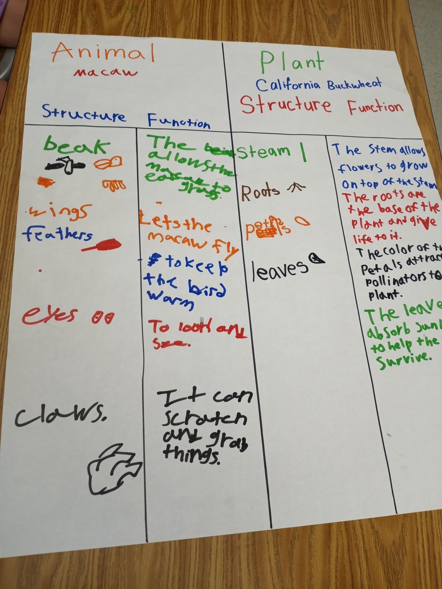 4th grade students created and presented posters to explain how different structures of plants and animals help them survive. #FUESD #FrazierFam