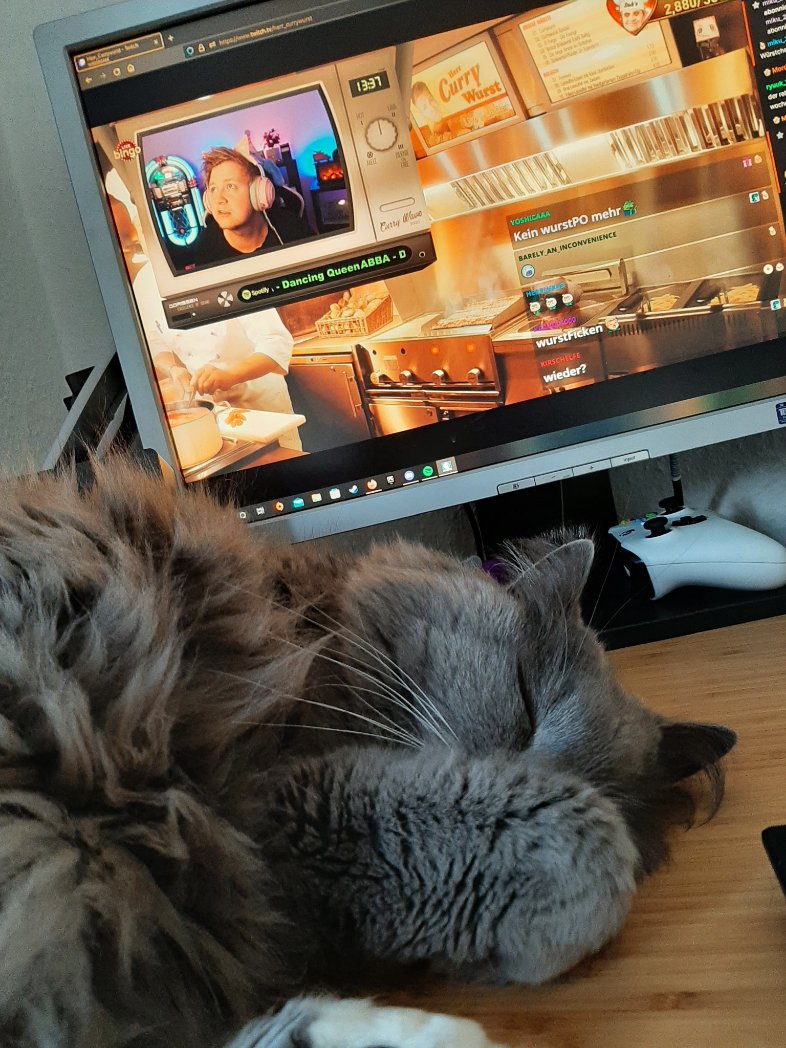 CapriChrome's tweet photo. Gemütliches Streamchen, der Chat hat den Inhalt auch gut zusammengefasst 🤭😌 @Herr_Currywurst #Streamwurstbude https://t.co/gR5XCqc9NL