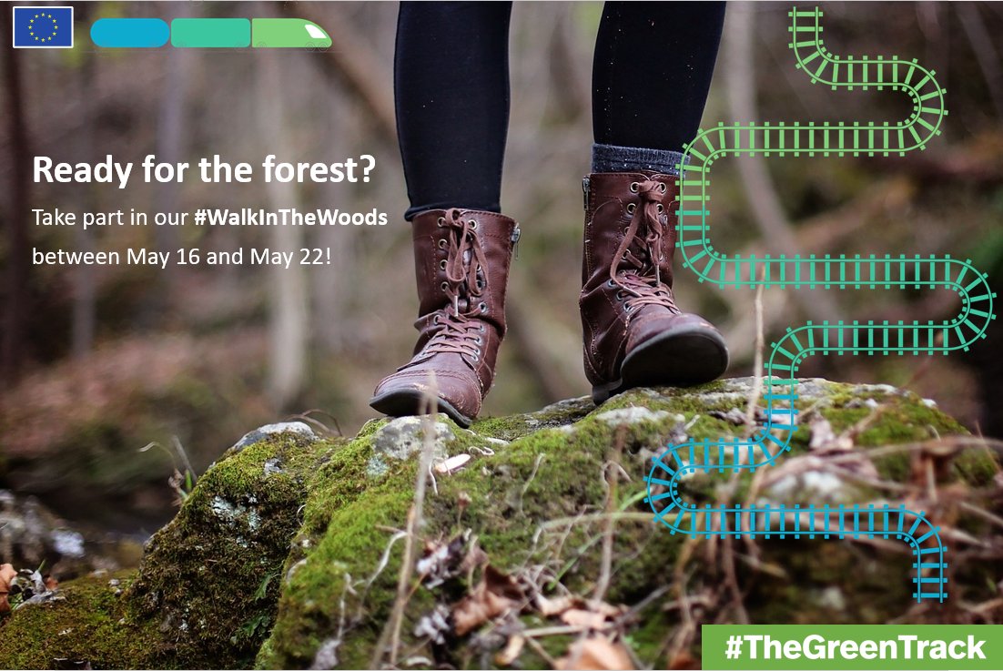forest_walk_EU's tweet photo. Organize with your friends/colleagues/students to participate in our event for #TheGreenTrack next week! Take a walk in the forest, fill out an online survey and upload geotagged forest photos. You will find the link to the survey here and under https://t.co/fnBXtTc26o on Sunday! https://t.co/U5rEDdB7gQ