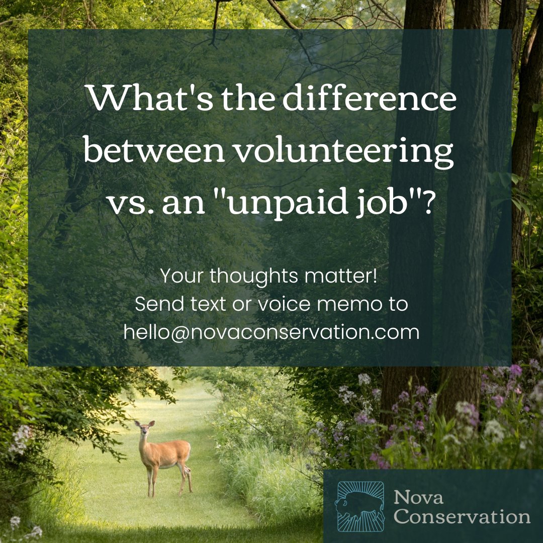 Nova Conservation tweet media