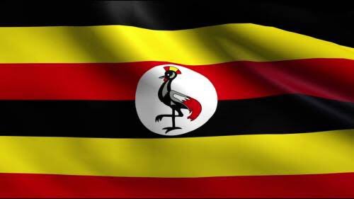 JSunyai's tweet photo. Retweet for Kenya 🇰🇪
Like for Uganda 🇺🇬#KenyaVsUganda https://t.co/pfBGv9Lnyj