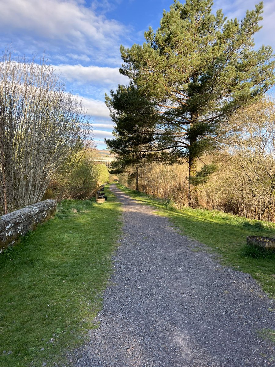 Pip Dunn (rail info) tweet media