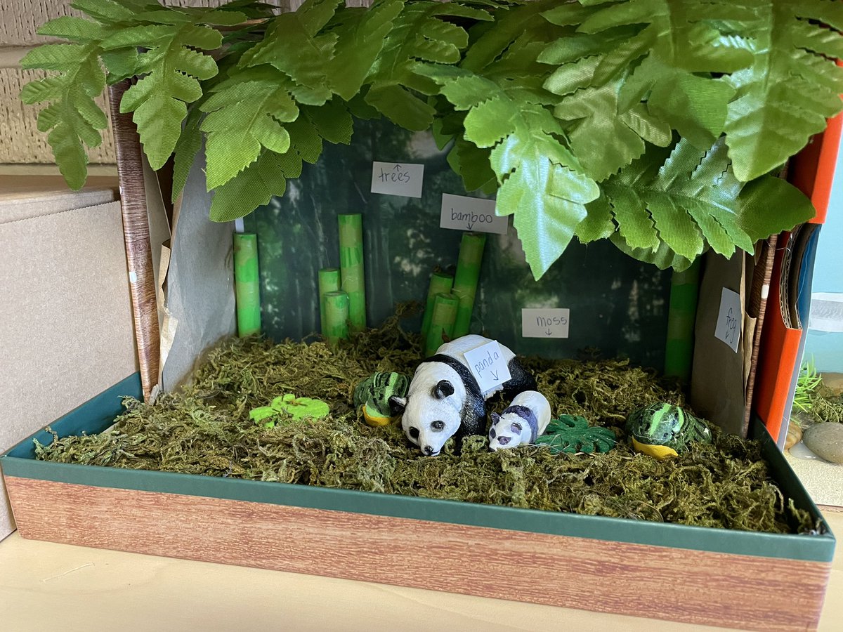 ms_ervick's tweet photo. Check out these awesome dioramas the Gr.4 Ss worked hard on to show their learning about #HabitatsandCommunities 🌿🦥☀️ https://t.co/NzHsI3nA1w