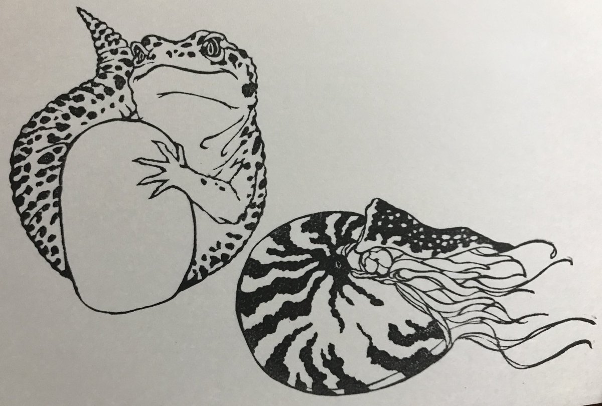 これは慣れてきた頃のやつ  
オウムガイも描き直してカッコよくなってますね 