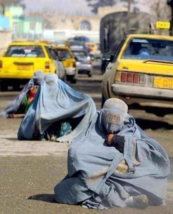 stanikzai750's tweet photo. د افغانو خویندو د بدن یواځینی بې‌حجابه غړی هغه لاس دی، چې د سوال لپاره له ټیکري راوځي. 💔

#AfghanWomen https://t.co/dabY0T7Y5m