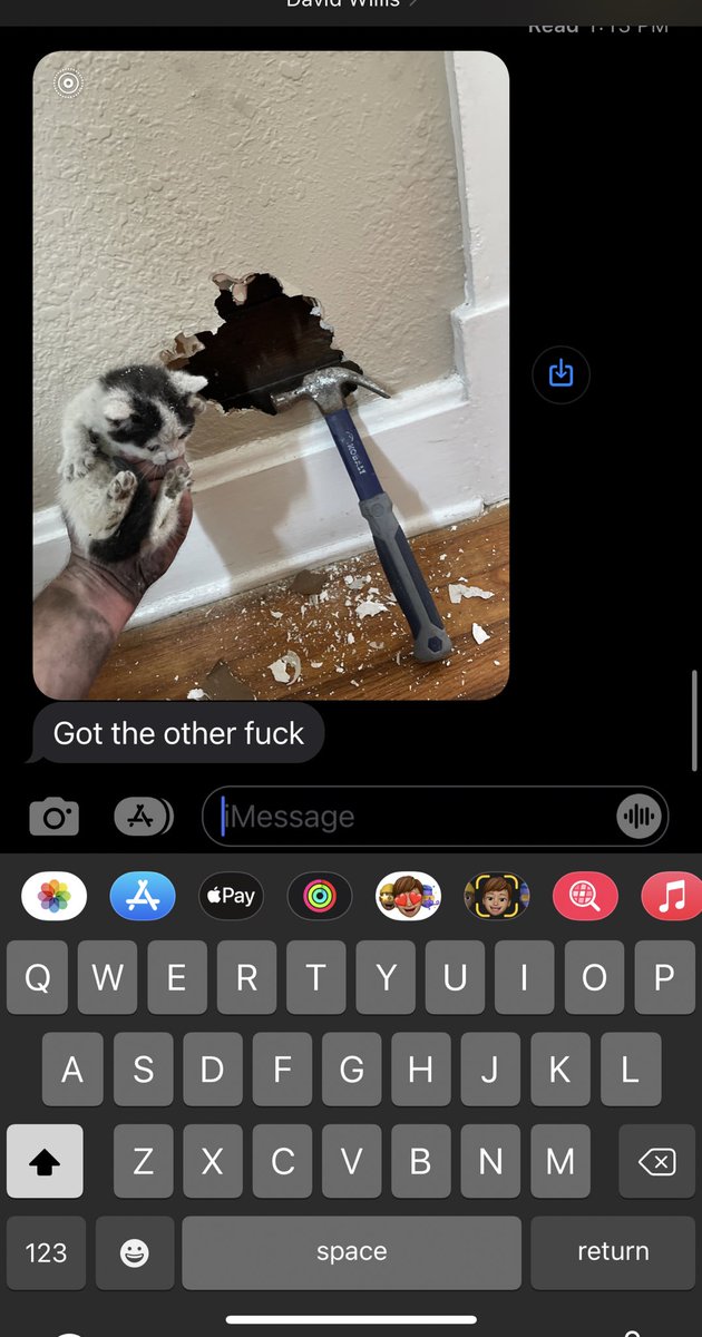 nancyy_nm's tweet photo. Boyfriend came home to meowing sounds coming from his office’s wall, so what does he do?? Grab a hammer…

I’m not making this up. This is the 2nd hole he’s made in his house today!! https://t.co/LF2It7GVh7