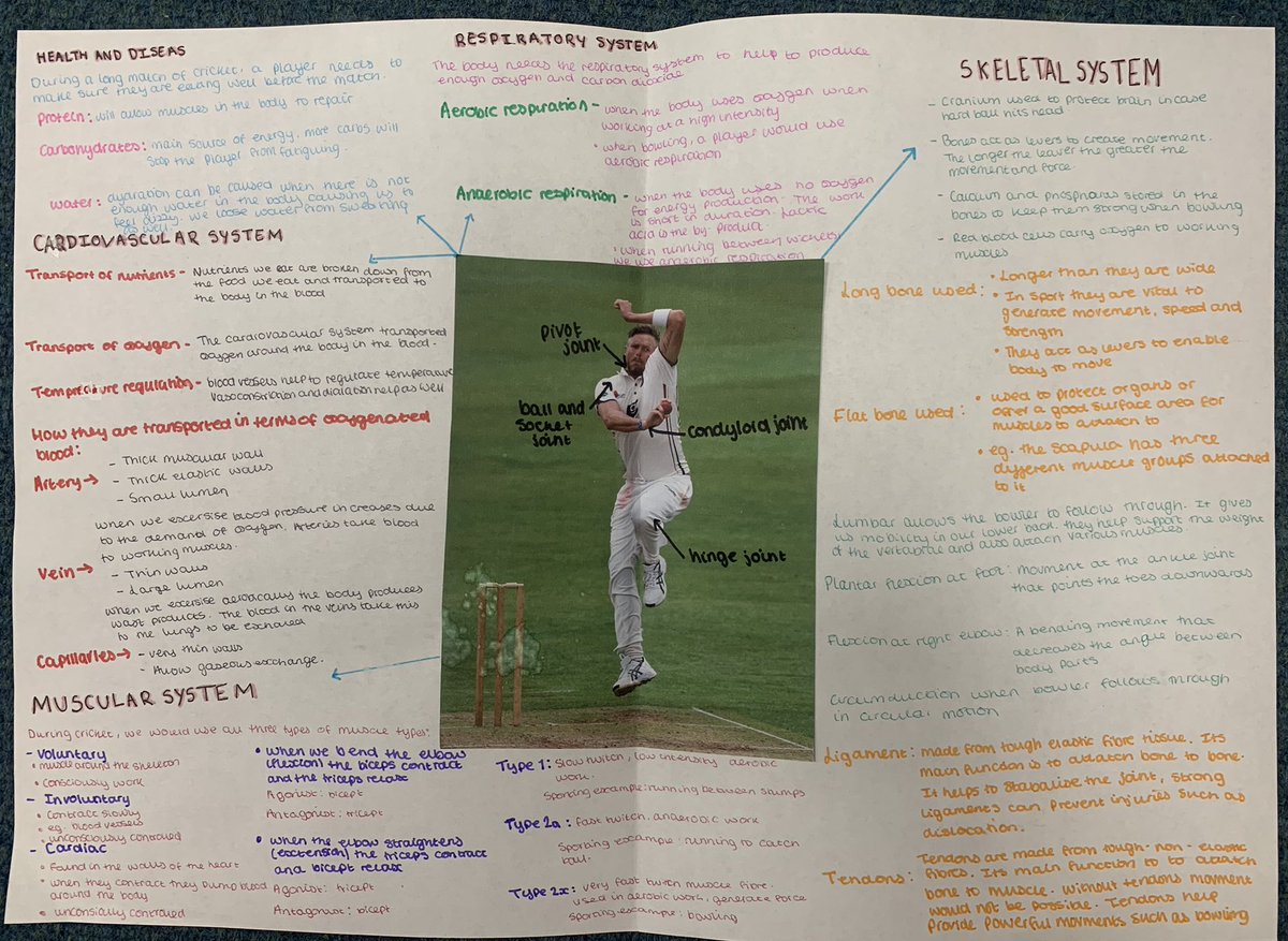 Miss Ladd tweet media