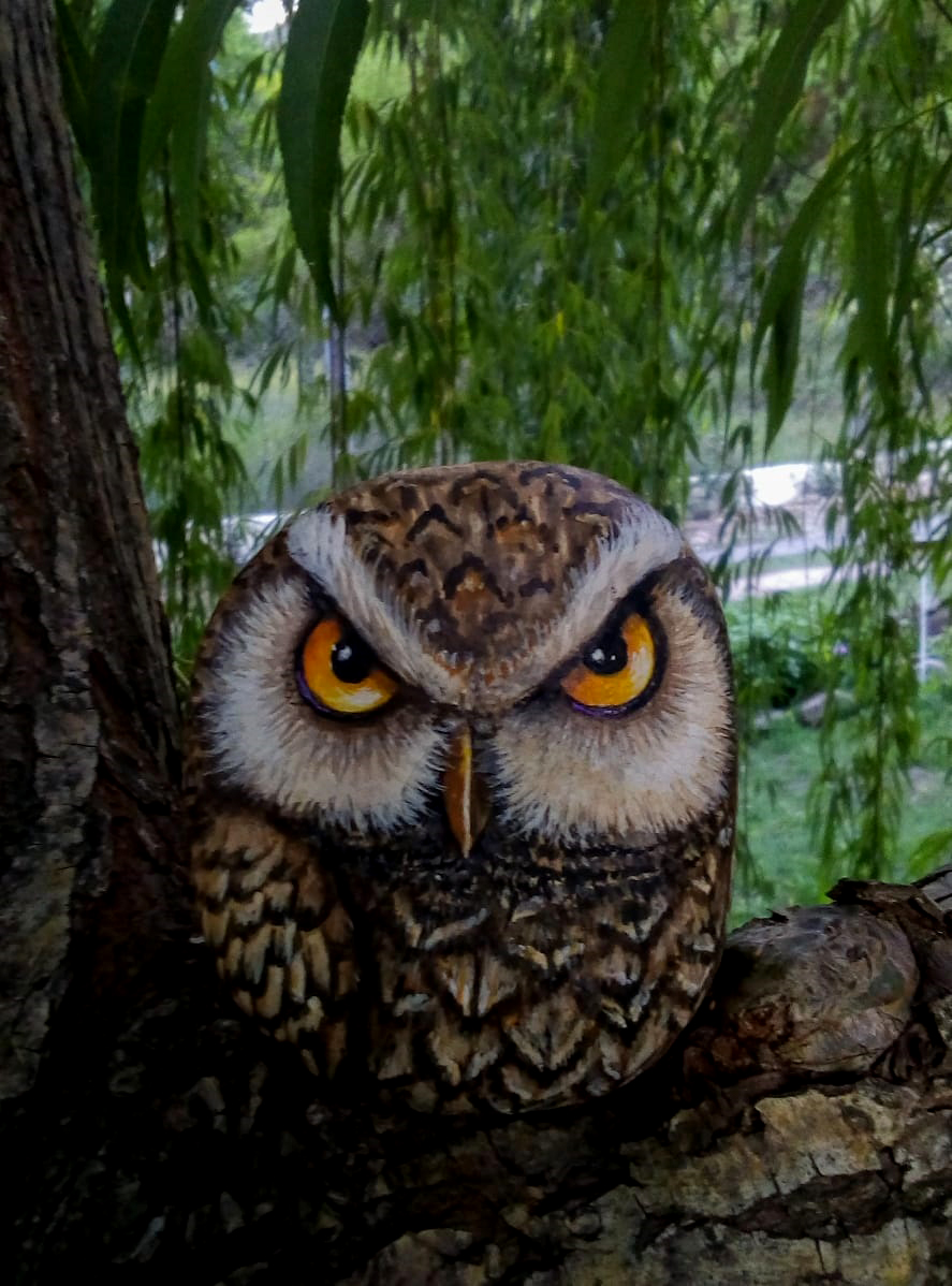 EdwStoneart's tweet photo. #0wl #lechucita #nature #birds #aves #pajaros #nature #naturaleza #paintings #art #arte #piedras #stones #artwork #acrylicpainting https://t.co/C99aBWbLos