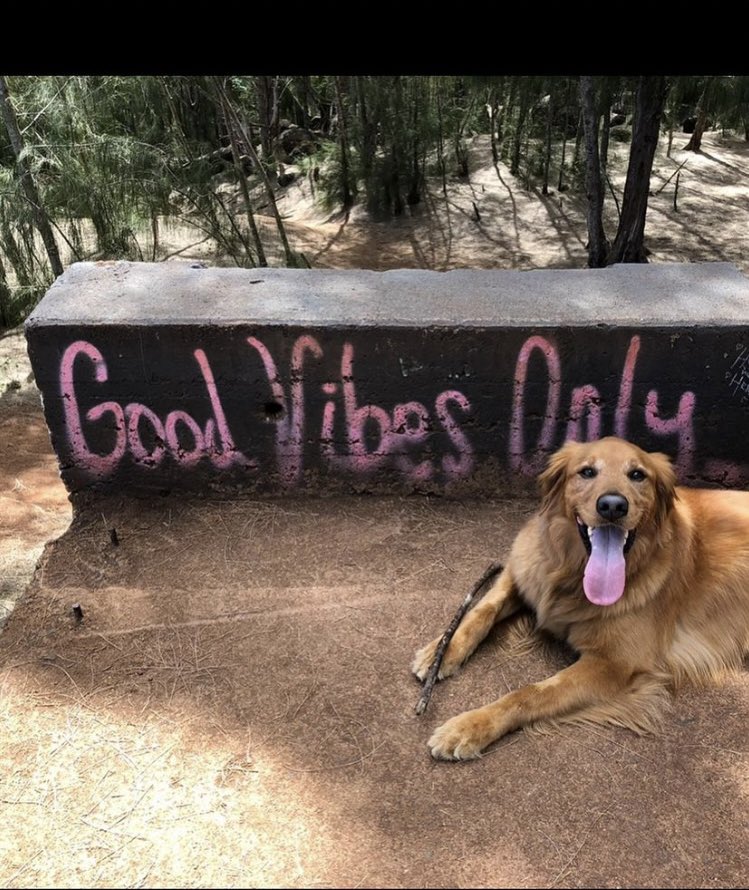 Café DYOR (Dior) tweet media