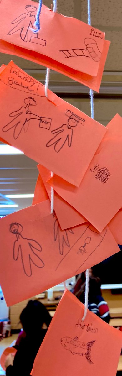 MsWeiskopfBall's tweet photo. Making mobiles to draw parallels between the themes in M. NourbeSe Philip’s “Salmon Courage” and the life cycle of the salmon. #EnglishTeacher #Creativity https://t.co/cr7lYLEcbn