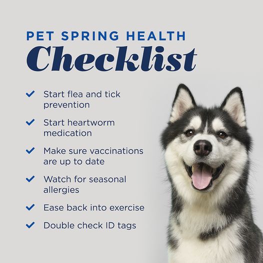 PVPCompounding's tweet photo. Make your pet’s health a priority this spring!!! 🌻🌹🌷 Follow this checklist to help make sure your four-legged family members are in top health and prepared for the season. 🐶🌻🐕🌹🐱🌷🐈 #petcompounding #compoundingpharmacysacramento https://t.co/m5ynVrrYwG