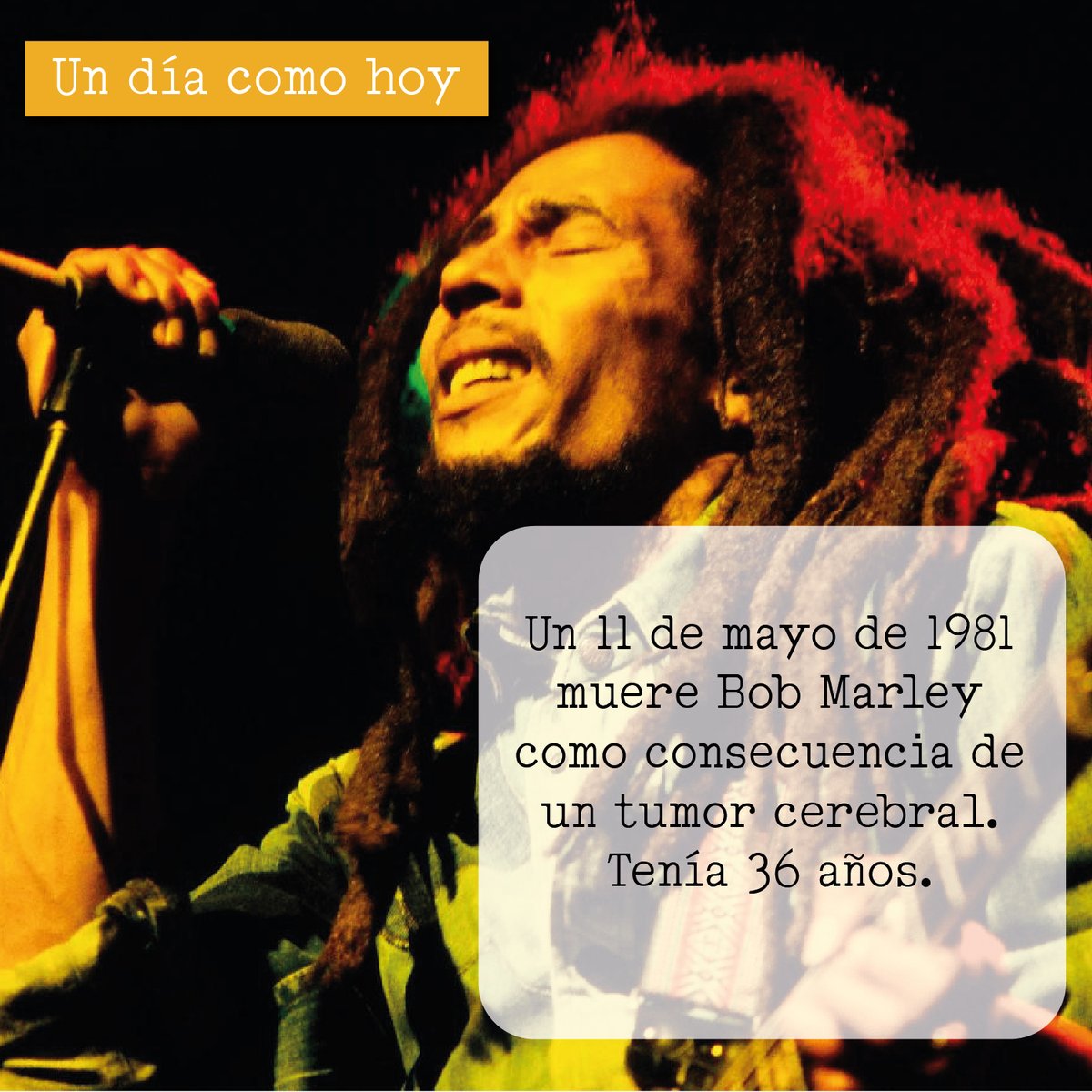 DomencrafterCo's tweet photo. #Undíacomohoy perdimos a una gran persona y artista.
¿Qué canción de Bob Marley te llena de felicidad?
.
.
.
#Datoscurisos #Datosinteresates #BobMarley #Reggae #rock #blues #soul https://t.co/ZO52xd3119