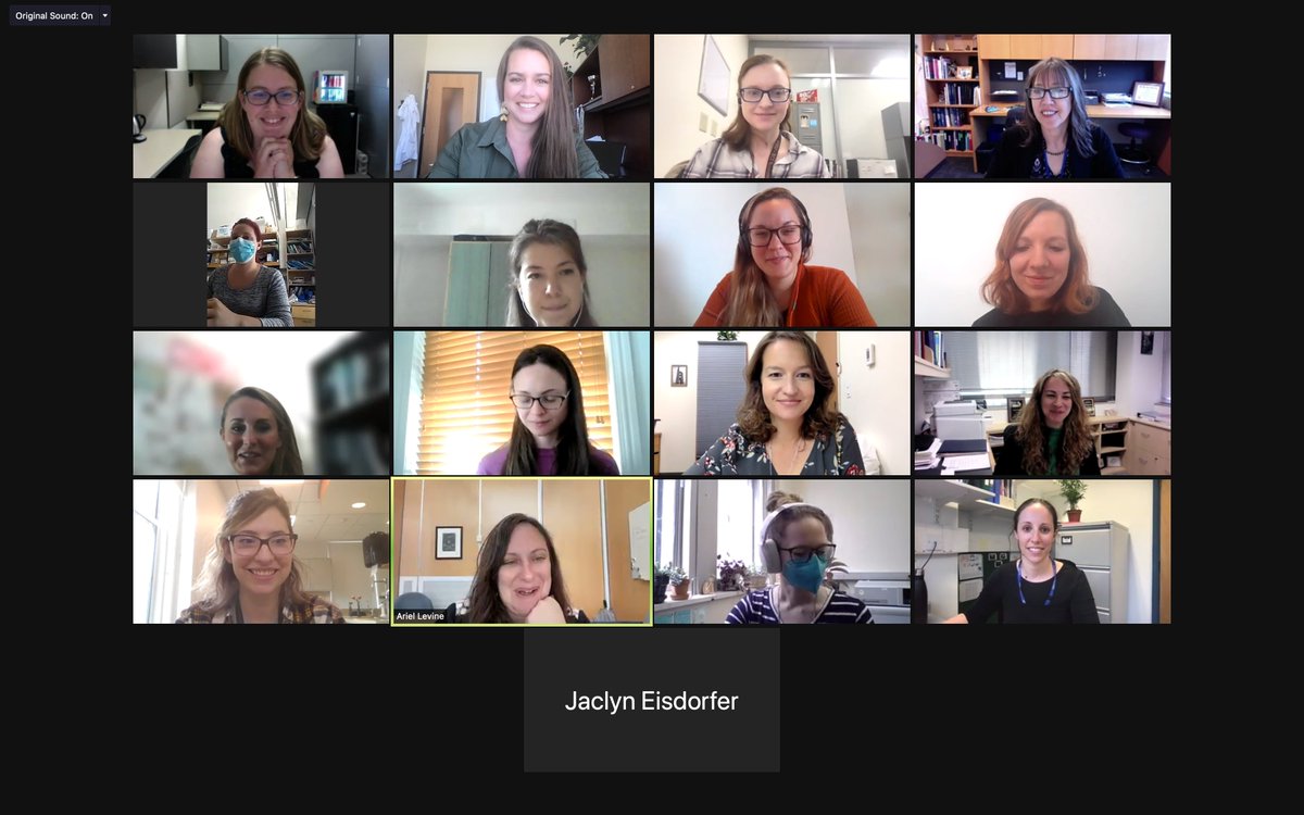 WardLab_Emory's tweet photo. Opening session for our 1st international meeting for #WomenInSTEM 4 #SCI #PNI #SpinalCord. Initiated by Angela Filous, modeled after @danamctigue's #LeanIn; Love facilitating w this standout group @ArielJLevine @metzisv @MokalledLab @VAbraira @heilshornlab @BradburyLab https://t.co/HLBM8IDDoL