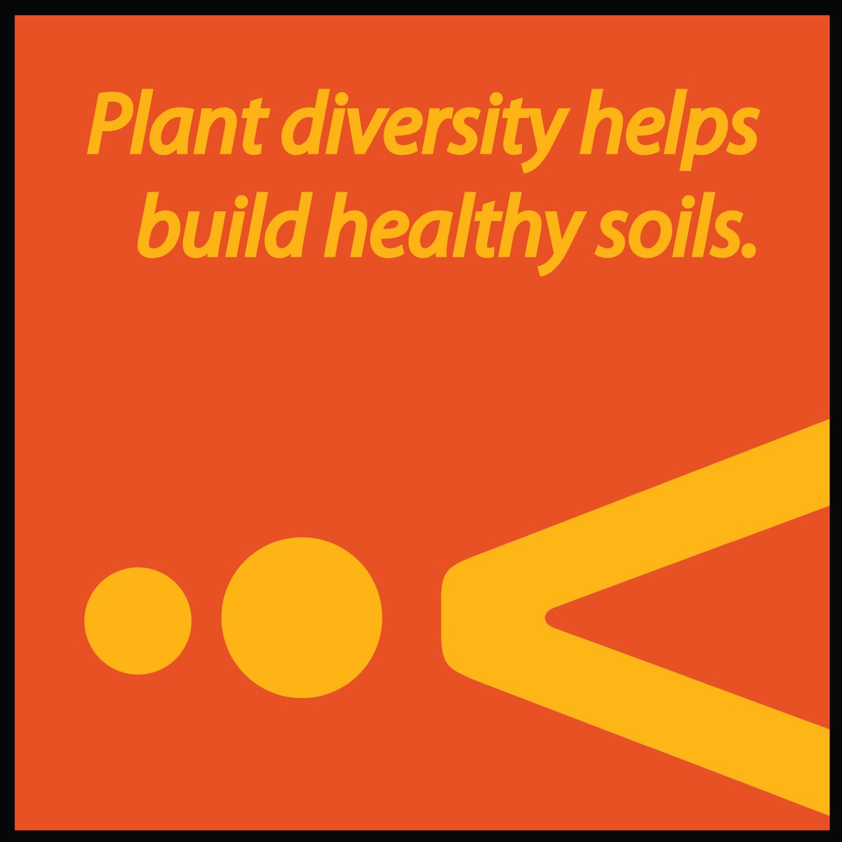 Fundación Aliados tweet media