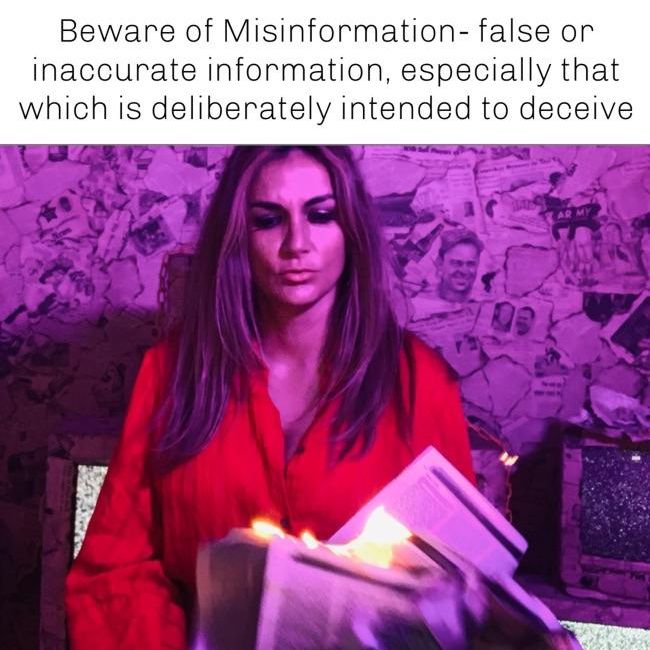 RafaelaFMoura's tweet photo. Today, I became concerned over misinformation used to deceive & divide in the Federal Government. Beware! Take steps to restrict false intel being spread to deliberately deceive this democracy or is it really a democracy anymore? Fortunately, this is not my first rodeo! #misinf https://t.co/fnvNhblY3Y