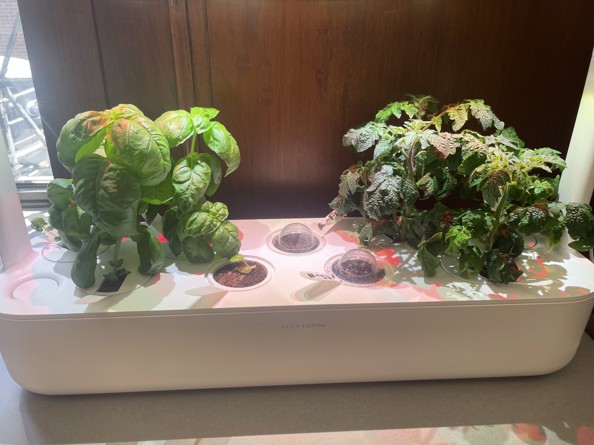 Olneyville Library tweet media