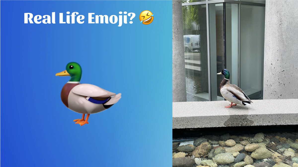 emojination_io's tweet photo. Real-life emoji 😍

Seen any you want to share? https://t.co/q90sVAsH6J