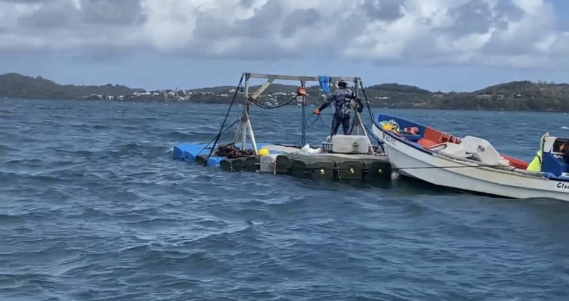 cubisystem's tweet image. Plate-forme de travail flottante CUBISYSTEM.
Motorisées ou non, ces plateformes flottantes CUBISYSTEM sont très utiles pour travailler dans des environnements difficiles avec une flottabilite tres importante.
Démontables, transportables, modulables et quasi indestructible!