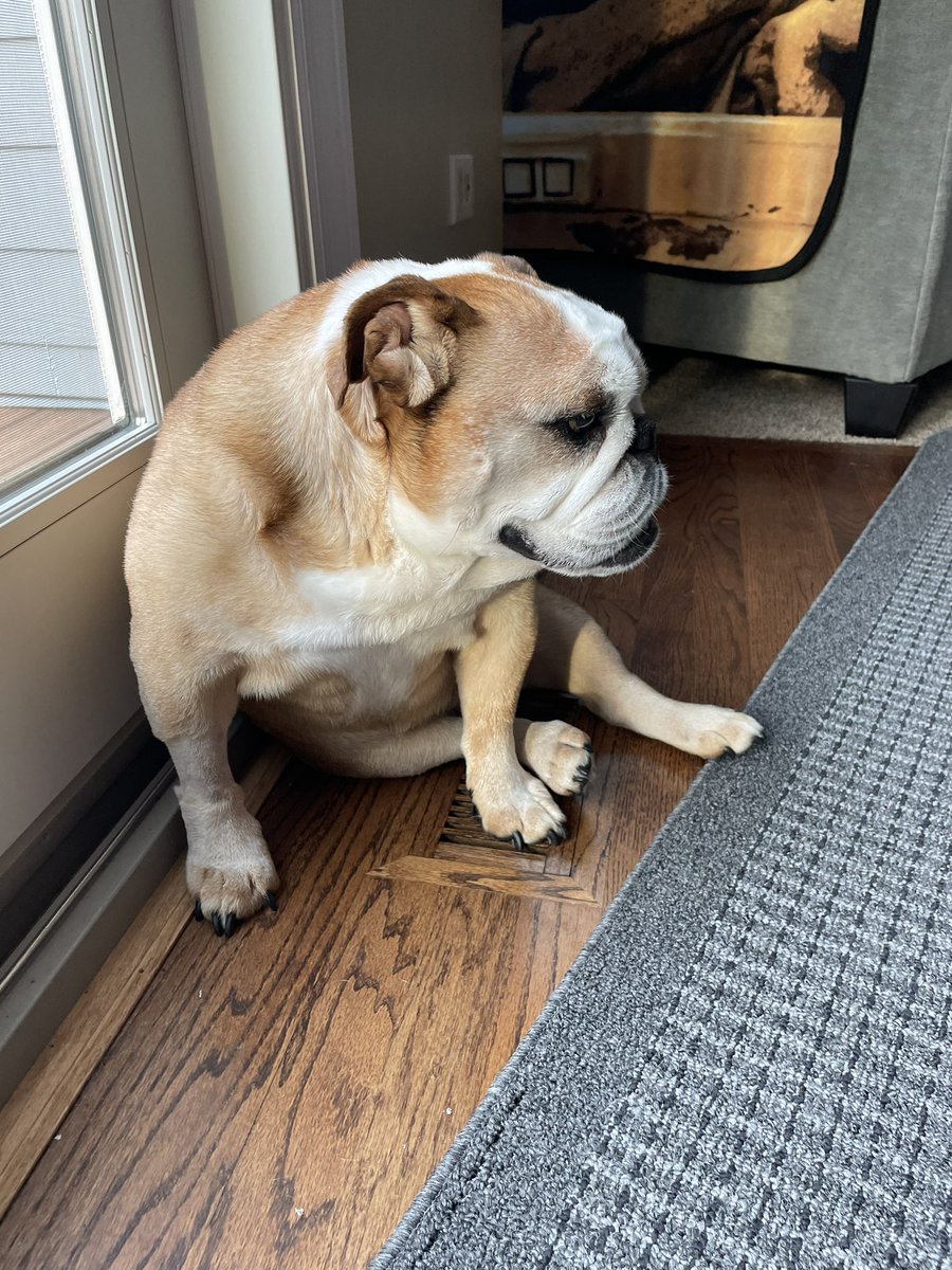 Air conditioning season