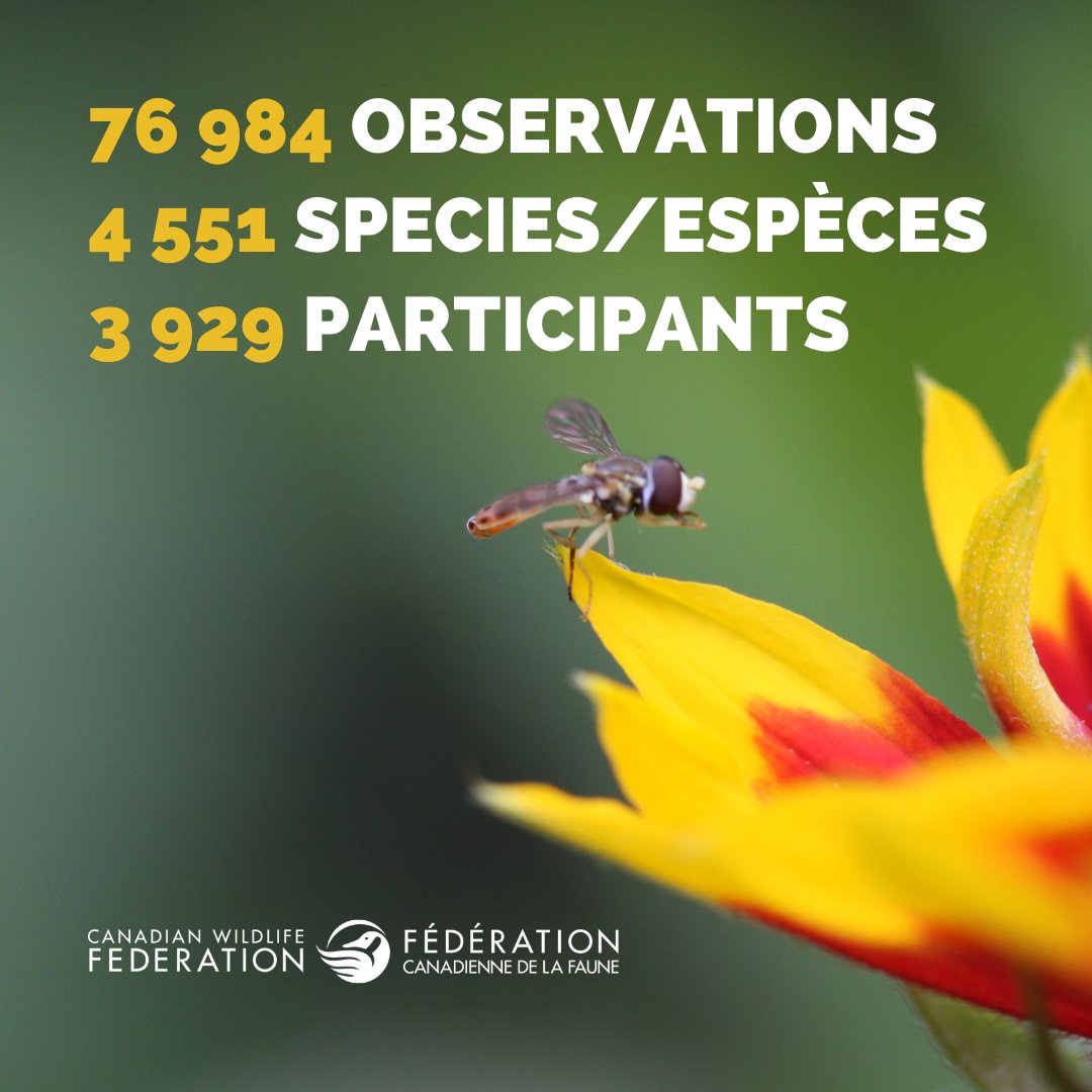 📢 Congratulations to everyone who participated in this year’s #CityNatureChallenge! The results are in! Check them out: ow.ly/NW3R50J5C2S

#CityNatureCanada #iNaturalistCanada @citnatchallenge