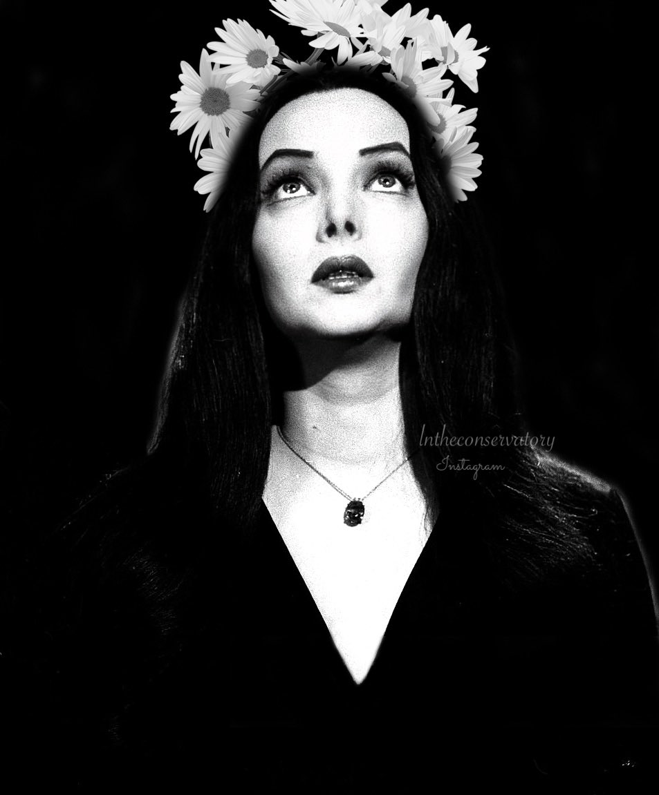 theconservatcry's tweet photo. #carolynjones #Morticiaaddams https://t.co/JTOxy9AGKi