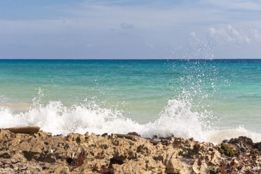leap_my's tweet image. Playa del Carmen is one of the most visited cities in Mexico with incredible beaches, great food, and more! Find the best things to do in Playa del Carmen!

myflyingleap.com/mexico/things-…

#myflyingleap #travel #mexico #newpost