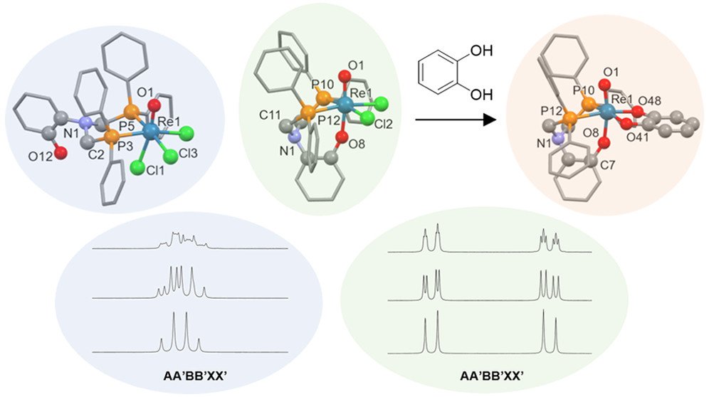 bhkenlo's tweet photo. N-Centered Tripodal Phosphine Re(V) and Tc(V) Oxo Complexes: Revisiting a [3 + 2] Mixed-Ligand Approach https://t.co/ojdOp5KAf2 Miller, Long, and co-workers @InorgChem #rhenium #technetium #oxo #tripodal #phosphine #catechol #mixed_ligand #3plus2 #NMR #hydrolysis https://t.co/0T3Ody0ofL